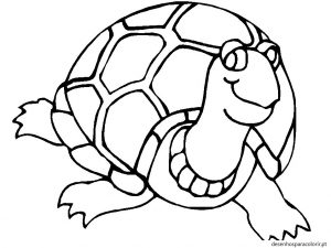 Read more about the article Desenhos de tartarugas para imprimir 02